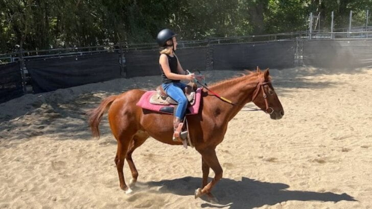 Horseback Riding In Orange County