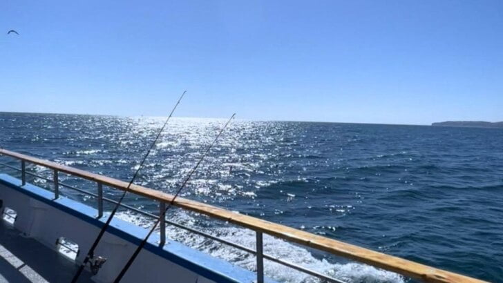 Guide To Fishing In Orange County