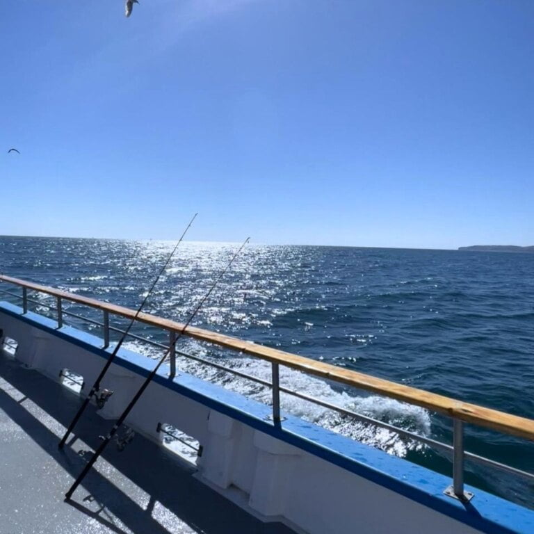Guide To Fishing In Orange County