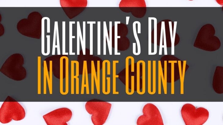 Galentines Day In OC