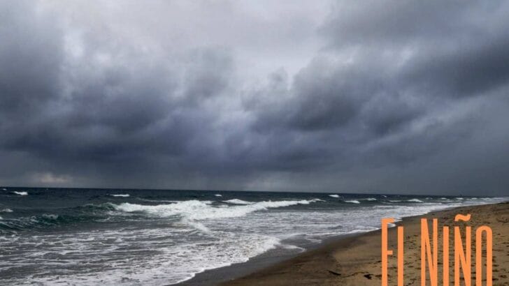 Stormy beach scene with dark clouds over the ocean; bold title text reads 'EL NIÑO IN ORANGE COUNTY' on the sandy shore (orange and white).