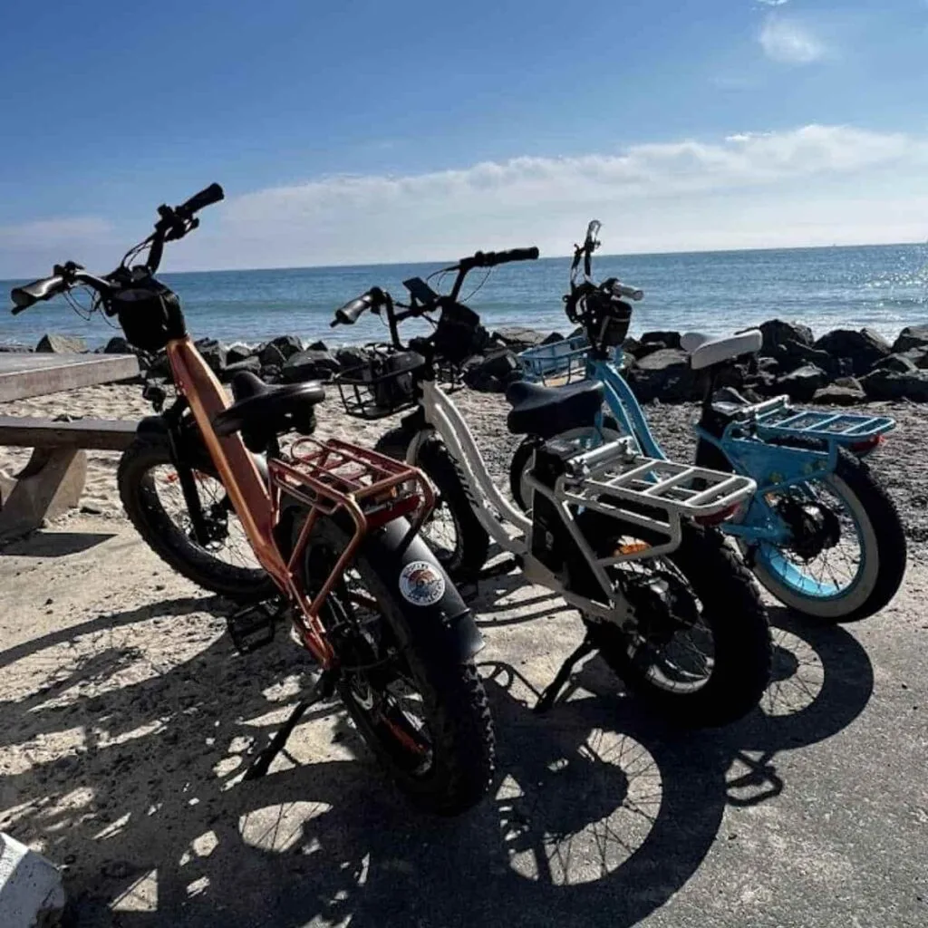 Enjoy Orange County Guide