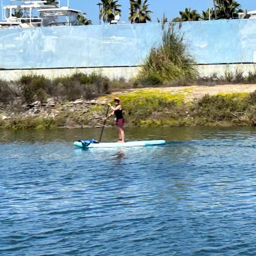 Person stand-up paddleboarding on calm water near a rocky, shrub-lined shore with a blue wall in the background.