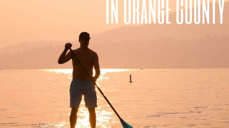 Where to Go Stand-Up Paddle Boarding in Orange County