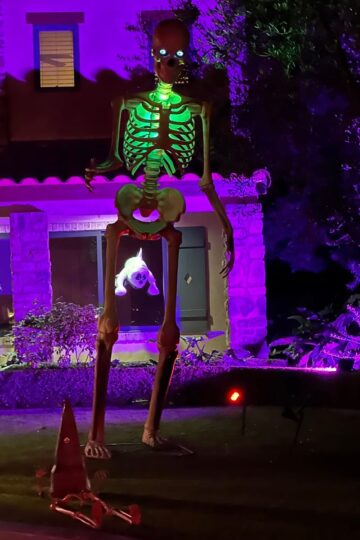 Orange County Halloween yard display