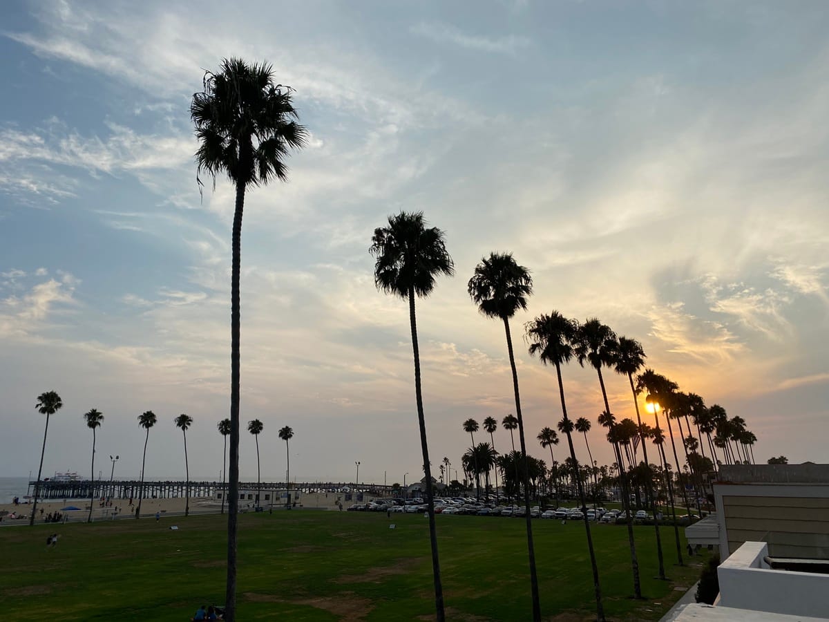 Palm trees and sunset near the beach in Newport Beach, California